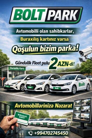 виза в бельгию: Aylıq — 1