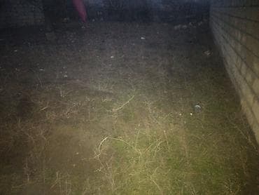 coratda torpaq: 2 sot, Tikinti, Mülkiyyətçi, Kupça (Çıxarış) — 4