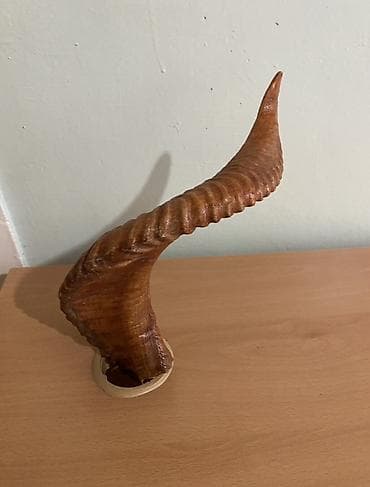 Şamlar: Təbii heyvan buynuzu, qəhvəyi rəng çalarlarında, xarakterik halqavarı — 3