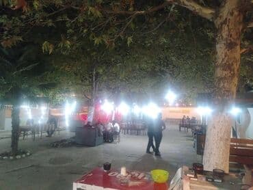 ламбир на потолок: Açıq hava kafe/çay bağı - Geniş, ağacların kölgəsində rahat həyət — 1