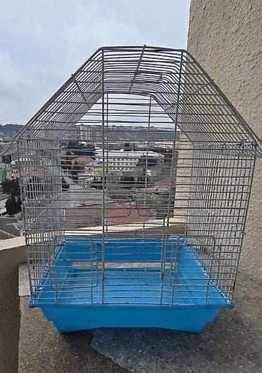 Quş qəfəsi – metal karkaslı, mavi plastik altlıqla - Material: möhkəm