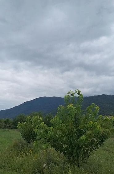 ramanida torpaq: 10 sot, Biznes üçün, Maklerlər narahat etməsin, Kupça (Çıxarış) — 5