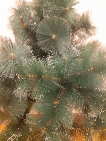 qar kureciyi: Süni Yeni il şam ağacı - Material: PVC/folqa tipli uzun iynəli — 2