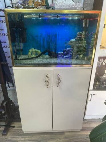 kompresor akvarium: Akvaryum dəsti – şkaflı - Şüşə akvaryum, qızılı rəng çərçivə ilə - — 2