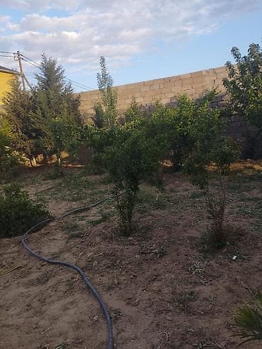 Bağ evləri: Bakı, 100 kv. m, 3 otaqlı, Hovuzsuz, İnternet — 2