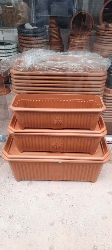 Digər bitkilər: Dibçək. Müxtəlif ölçü və modellər mövcuddur. Fərqli qiymətlərdədir — 4