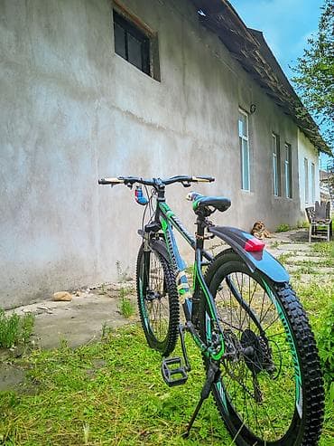 volta vsx: Eurostar dağ velosipedi - Çərçivə: yüngül alaşımlı, hardtail dizayn - — 3