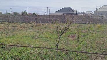 сайты недвижимости в баку: 6 sot Tikinti, Qaz, İşıq, Su — 5