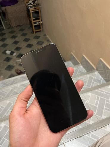 IPhone 12 Pro Max, 256 ГБ, Sierra Blue, Face ID — 10