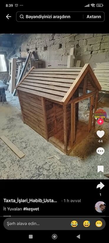 dovşan qəfəsi: It yuvaları — 3