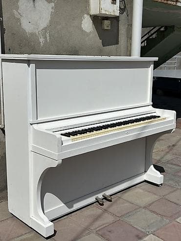 studiya mikrafonu: Ağ rəngli akustik upright pianino - Klassik vertikal korpus, sadə və — 5