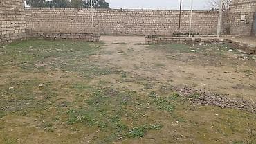 Torpaq: 15 sot, Tikinti — 3