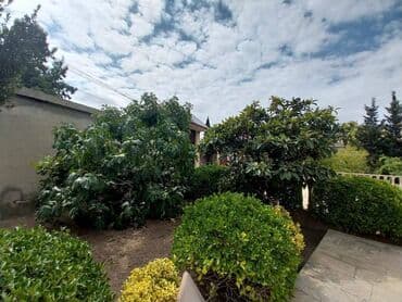 8 noyabr: 7 otaqlı, 280 kv. m, Kredit yoxdur, Orta təmir — 11