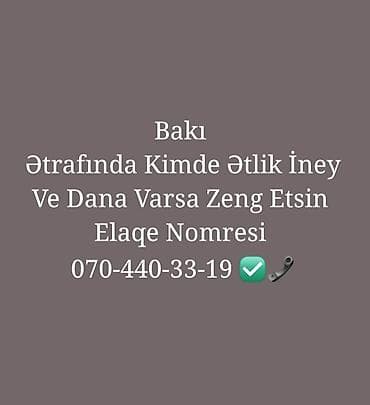 heyvan satisi: Bakı ərazisində ətlik inək və dana axtarışı. ✅ Məqsəd: ətlik — 1