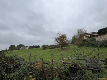 qalmaq serti ile: 43 sot, Kənd təsərrüfatı, Mülkiyyətçi, Kupça (Çıxarış) — 11