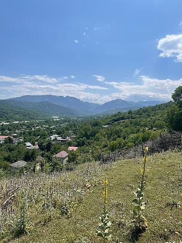 goradilde torpaq: 12 sot, Tikinti, Mülkiyyətçi, Kupça (Çıxarış), Bələdiyyə, Texniki pasport — 4