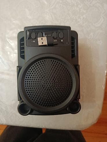 sub dinamik: GTS-1360 portativ səs kolonkası - Kompakt, daşına bilən dizayn - — 1