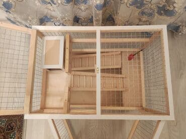 ag dovsan: Dovşan,hamster,dağ — 7