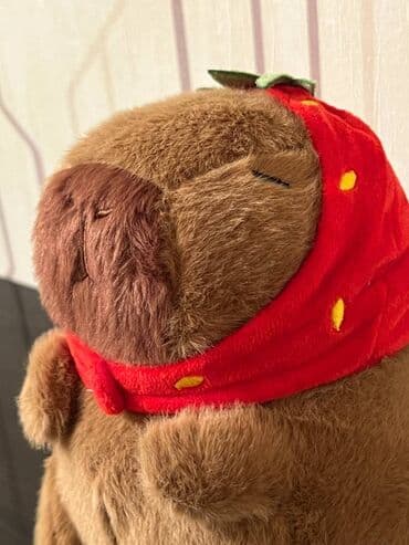 Xodunoklar: Salam Kapibara iki hissədən ibarətdir Baş geyimi çixır 20 azn — 2