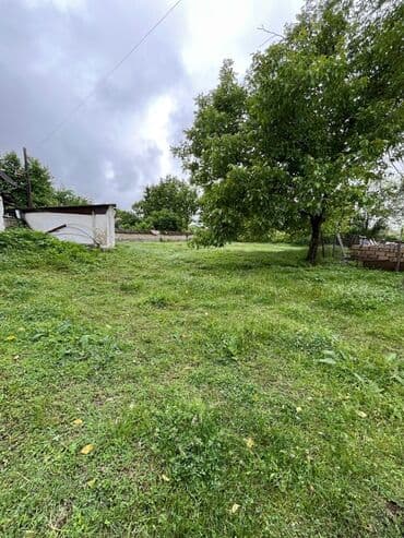 ələt torpaq: 14 sot, Biznes üçün, Mülkiyyətçi, Kupça (Çıxarış) — 13