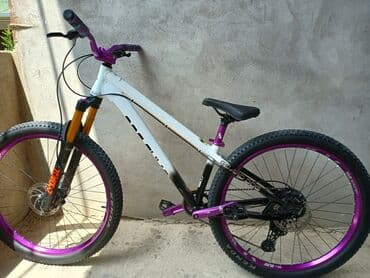 qalin tekerli velosiped: Dirt/Street tərzində yığılmış mountain bike - Çərçivə: Hardtail — 1