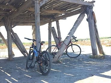 Uşaq velosipedləri: Qara və narıncı rənglərdə "Wolf" dağ velosipedi. Öndə və arxada disk — 6