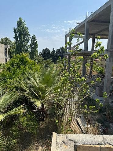 mingecevirde torpaq satisi: Görədil qəsəbəsi, bağ massivinin ən prestijli və dəniz mənzərəli — 9