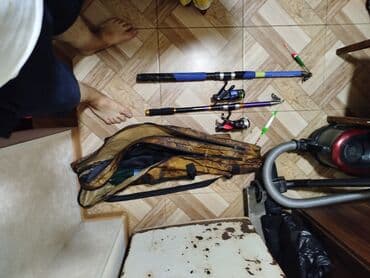 baliq tutmaq ucun tor: Baqçiliq desdi - 2 ədəd teleskopik qamış: biri mavi, digəri qara-sarı — 1