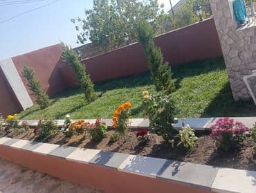 Digər tikinti xidmətləri: Ummi abadliq xidmeti torpaq lazmdisa torpaq getrib yaymaq duždeşdirib — 2