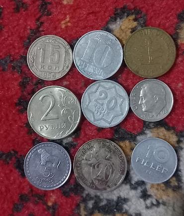 burunc: Ozum həvəsi oldum ucun yixirdim indi satiram tək təkda satilir qiymət — 7