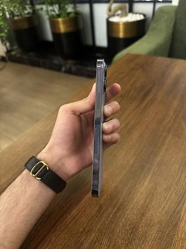 телефон fly 10: IPhone 13 Pro, Серебристый, Face ID — 4