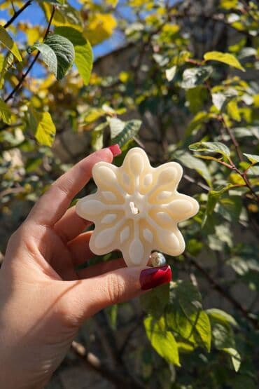 uzum ağacı: Şam Fiqurlu, Parafin — 4