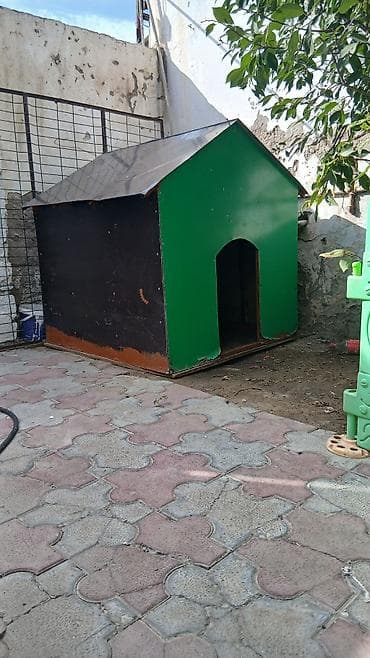 it yuvalari: Böyük ölçülü it evi - Material: möhkəm taxta karkas, üstü — 8