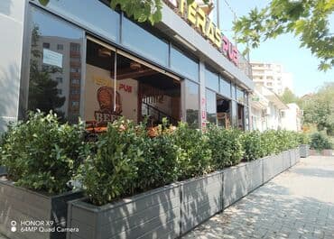 taxta dibçək: Restoranlar üçün dibçək qiymətlər fərqlidir Qiymət şərti qiymətdir — 5