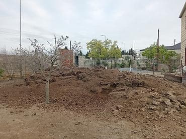 Təbii fermadan çıxmış peyin – torpaq üçün üzvi gübrə -
