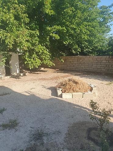 20 ci sahe ev: Satılır: geniş həyəti və işıqlı məkanları olan fərdi yaşayış evi - — 5