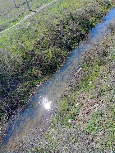 1 otaqli kiraye evler 2018: 14 соток, Для строительства, Бялядия (муниципалитет) — 2