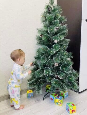 yolka ağacları: Yolkalar — 3