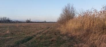 tap az quba: 1500 sot, Kənd təsərrüfatı, Mülkiyyətçi, Kupça (Çıxarış) — 4