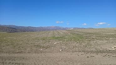 купить землю в баку: 100 соток, Для сельского хозяйства, Собственник, Купчая — 7