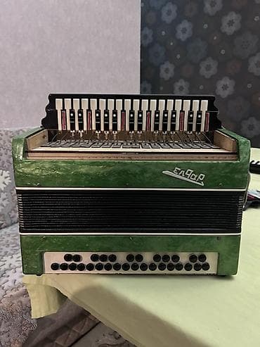 Синтезаторы: Акустический Аккордеон, Новый — 3