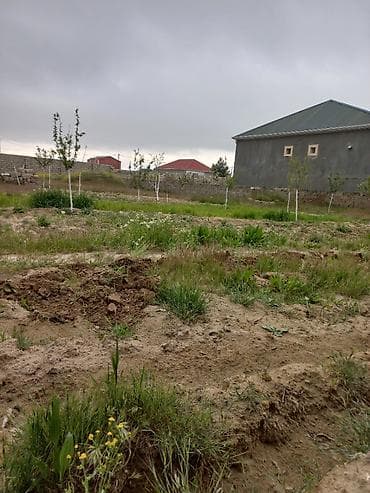 taxda evler: 10 sot, Tikinti, Mülkiyyətçi, Bələdiyyə — 8