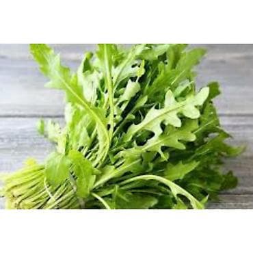 Rukolla var . Yalnız whatsappda yazın