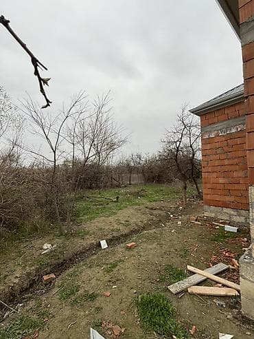 berde ev alqi satqisi: 9 sot, Tikinti, Mülkiyyətçi, Kupça (Çıxarış) — 4