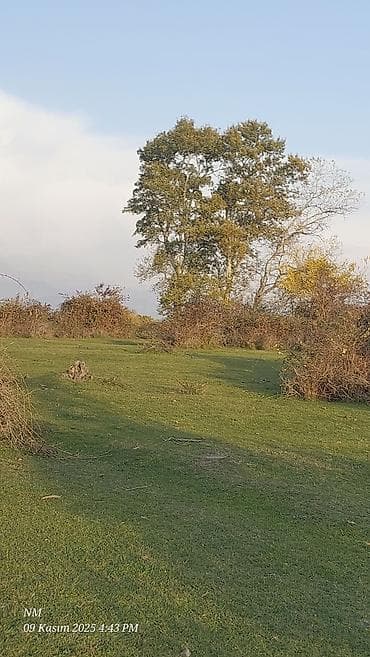 Mənzillər: 24 sot, Kənd təsərrüfatı, Barter mümkündür, Kupça (Çıxarış) — 3