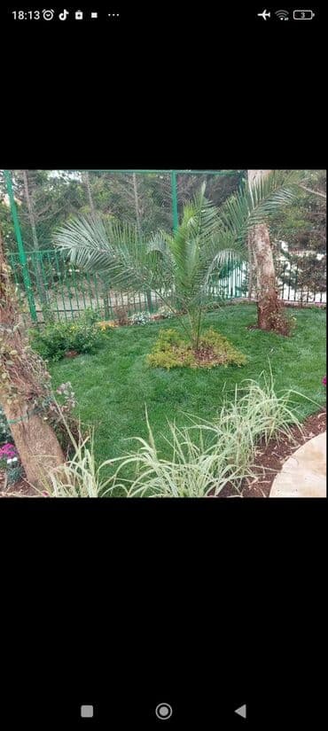 ağ dırnaq modelleri: Landşaft dizayin ummi abadliq qazon agaclar gul ciceklerlə bağlarin — 15