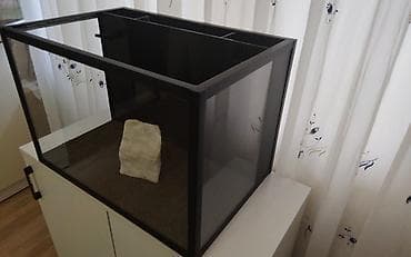 akva ayaqabılar: Akvaryum seti – şüşə çən və arxa bölməli daxili sump filtrasiyası - — 1