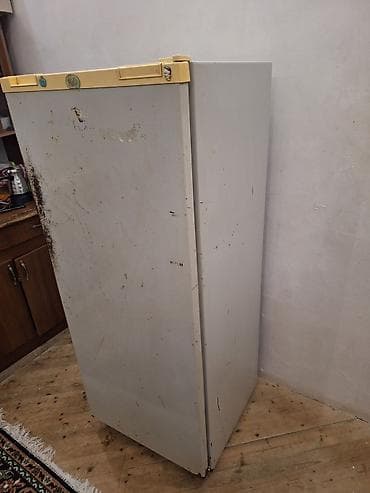 irsad telecom mingecevir: Birqapılı məişət soyuducusu - Yuxarıda ayrıca kiçik dondurucu bölməsi — 3