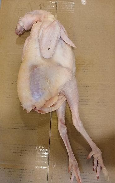 lal ordeki: Kənd toyugu 1 kilo 1 kilo 300 Gec bişən toyuqdur Ismayilli toyugudur — 2
