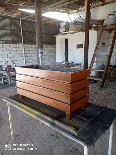 dibçek gulleri: Dibçək güldanlar. Dipçəklər bir başa sexdən.Sex qiymətinə. ♦️Endrim — 5